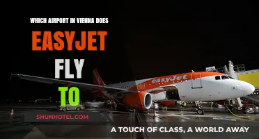 EasyJet's Vienna Airport: Which Hub Serves Your Austrian Adventure?