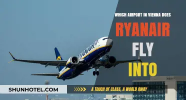 Ryanair's Vienna Airport Guide: Which Hub Serves Your Flight?