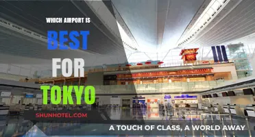 Tokyo's Airports: Which One Should You Choose?