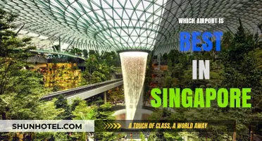 Singapore's Changi: Best Airport Experience