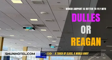 Dulles vs. Reagan: Which Washington, D.C. Airport Suits You Best?