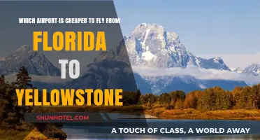 Florida to Yellowstone: Which Airport Offers Cheaper Flights?