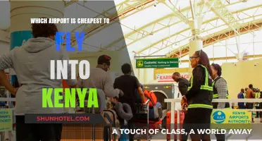 Budget-Friendly Kenya Travel: Discover the Cheapest Airport to Fly Into