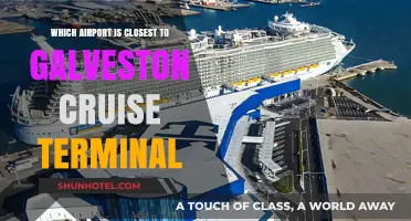 Convenient Airports Near Galveston Cruise Terminal: Your Travel Guide