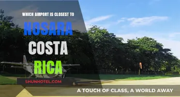 Discovering the Nearest Airport to Nosara, Costa Rica: A Traveler's Guide