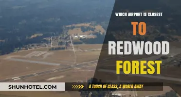 Exploring Nature's Wonders: Nearest Airport to Redwood Forest Revealed
