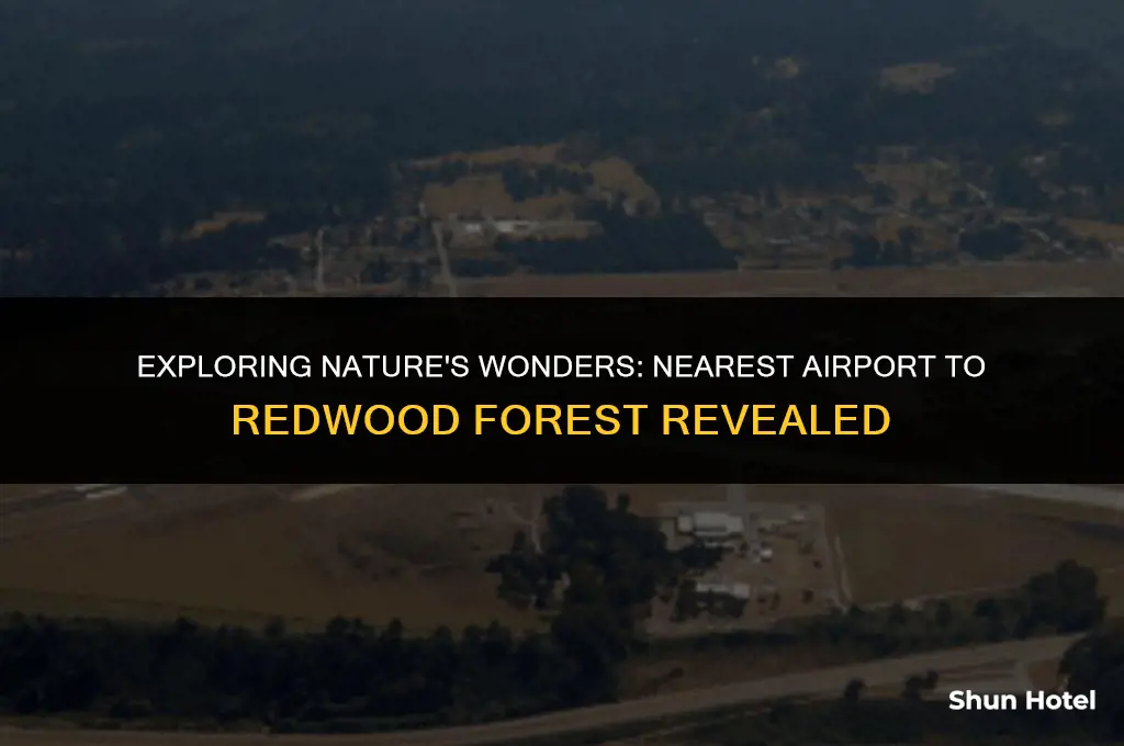 which airport is closest to redwood forest