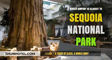Flying to Sequoia: Your Guide to the Nearest Airports