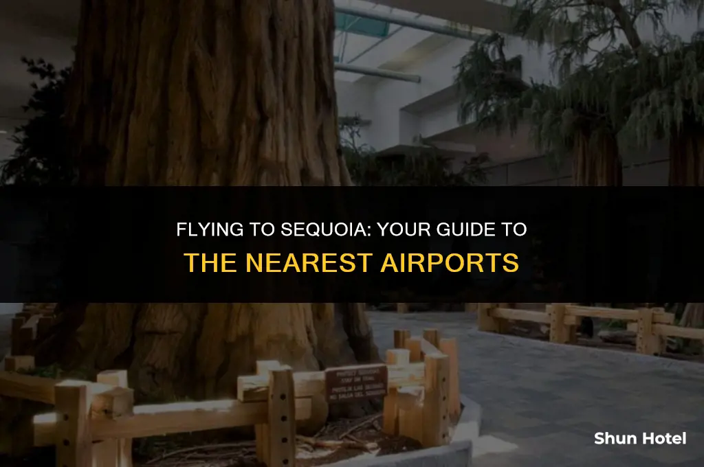 which airport is closest to sequoia national park