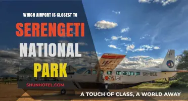 Exploring the Nearest Airport to Serengeti National Park: A Traveler's Guide