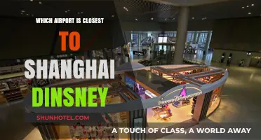 Exploring Shanghai: Nearest Airport to Shanghai Disney Resort