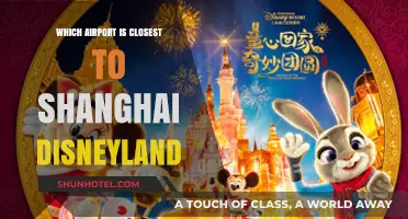 Discover the Nearest Airport to Shanghai Disneyland: Your Ultimate Guide