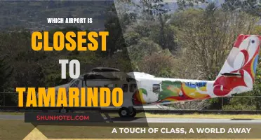 Discovering the Nearest Airport to Tamarindo: A Traveler's Guide