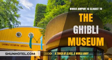 Exploring Tokyo: The Nearest Airport to the Ghibli Museum Revealed