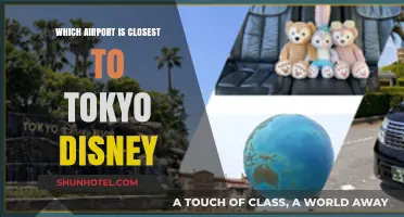 Discovering Tokyo Disney's Nearest Airport: A Visitor's Guide