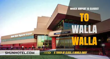Exploring Walla Walla: Your Guide to the Nearest Airport