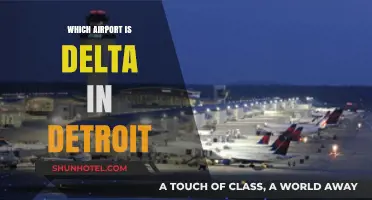 Delta's Detroit Hub: Which Airport?