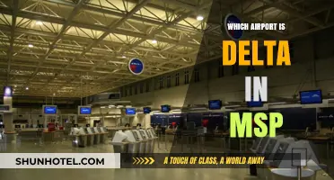 MSP Airport: Delta's Main Hub and Home