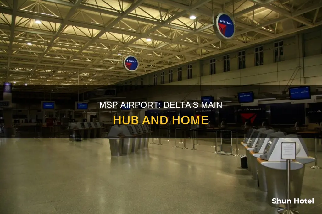 which airport is delta in msp