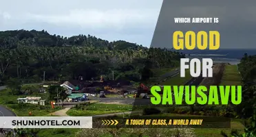 Savusavu Airport: A Tropical Gateway