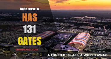The Massive Airport with 131 Gates
