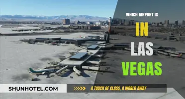 Las Vegas McCarran Airport: All You Need to Know