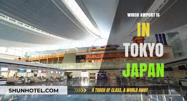 Tokyo's Airports: A Guide to Japan's Travel Gateway