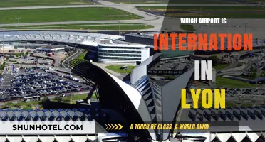Lyon's International Airport: A Comprehensive Guide to Flying Globally