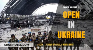 Ukraine's Operational Airports: Current Status and Travel Updates