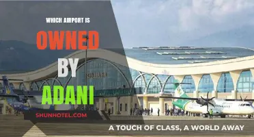 Adani's Airport Empire: Who Owns the Skies?