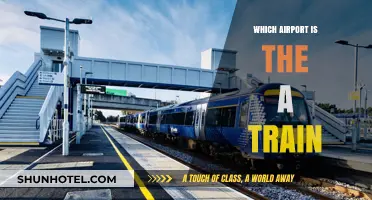 A Train's Airport: Which One is it?