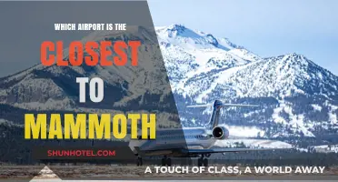 Exploring the Nearest Airport to Mammoth: A Comprehensive Guide
