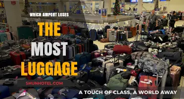 Airports with the Worst Luggage Loss Records