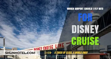 Best Airports for Disney Cruises: Your Ultimate Travel Guide