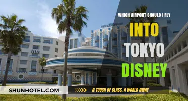 Best Tokyo Disney Airport: Narita or Haneda? Your Ultimate Guide