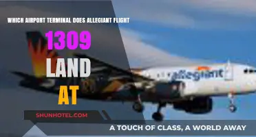 Discovering the Arrival Terminal for Allegiant Flight 1309: A Comprehensive Guide