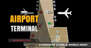 Navigating the Maze: A Guide to Choosing the Right Airport Terminal