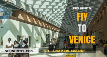 Best Airport Options for Your Venice Vacation