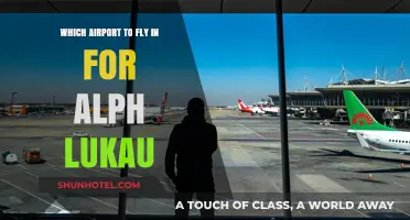 Best Airports to Fly Into for Visiting Alph Lukau in Johannesburg