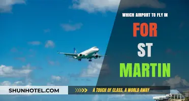 Best Airport Options for Your St. Martin Vacation: A Guide