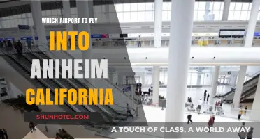 Best Airports for Flying into Anaheim, California: A Travel Guide