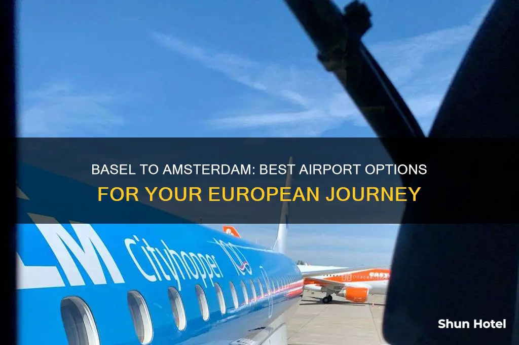 which airport to fly into basel and out of amsterdam