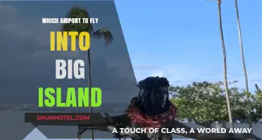 Best Airports for Flying into Hawaii's Big Island: A Traveler's Guide