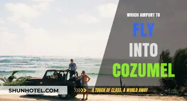Best Airport Options for Flying into Cozumel: A Traveler's Guide