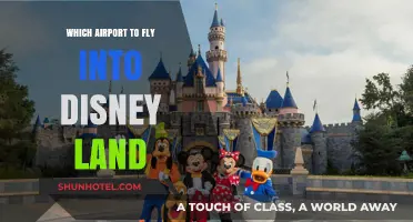 Best Airports for Flying to Disneyland: A Comprehensive Travel Guide