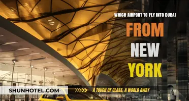 Best Dubai Airport Options for Flights from New York City