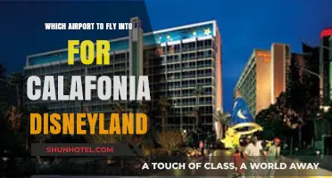 Best Airports for Flying to Disneyland California: A Travel Guide