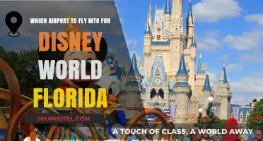 Best Orlando Airports for Disney World: Your Ultimate Travel Guide