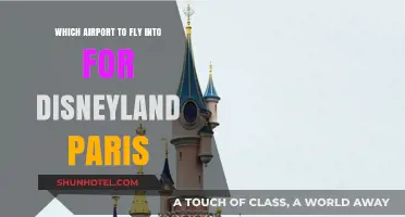 Best Airport Options for Visiting Disneyland Paris: A Travel Guide