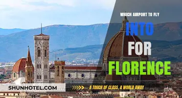 Best Airport Options for Visiting Florence: A Comprehensive Travel Guide